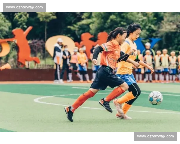 袋鼠与人类对抗的力量速度智慧生存本能全面对比解析差异研究揭秘