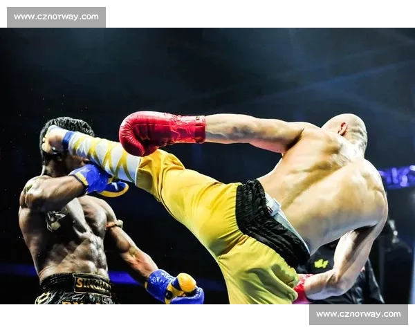 武林风巅峰对决一龙迎战播求的荣誉力量与传奇宿命格斗擂台之战